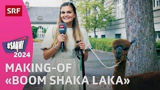 #SayHi 2024: Hinter den Kulissen bei «BOOM SHAKA LAKA» von Nicky B Fly & Nickless | SRF Kids