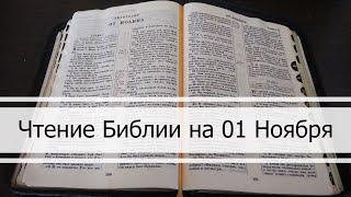 Чтение Библии на 01 Ноября: Псалом 122, 3 Послание Иоанна, Книга Иеремии 46, 47