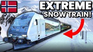 Seven hours on Norway’s STUNNING winter train journey!