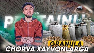 Buqa, Sigir, qoy va barcha chorva xayvonlariga vitaminlar va protanlar qoshilgan granula