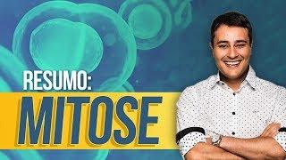 Ciclo Celular: Mitose | RESUMÃO | Prof. Paulo Jubilut