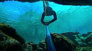 Freediving and bubble blowing at Cypress Springs Fla Freediving and diving caves.