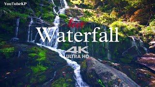 Waterfall in 4k - River Stream Trees | Waterfall River Forest Trees Falls | @TheYouTubeKP| HD Video