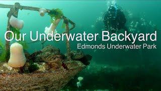 Edmonds Underwater Park - Our Underwater Backyard - Bruce Higgins Trails - Annie Crawley