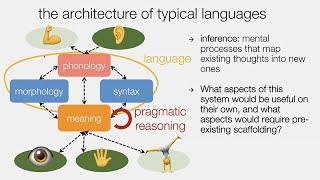 CARTA: The Evolution of Syntax and Pragmatics in a Gradualist Scenario with Eva Wittenberg