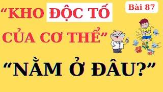 Nơi nào CHỨA NHIỀU ĐỘC TỐ nhất trong cơ thể? (Đa phần sẽ không ngờ tới) | Ds Nguyễn Quốc Tuấn