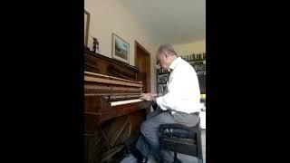 Old time piano, Dave Wilkins