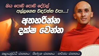 95. අතහරින්න දක්ෂ වෙන්න | කලායමුට්ඨි  ජාතකය | තින්දුක ජාතකය | කච්ඡප ජාතකය | 2023-08-14