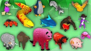 Epic Race 3d Animal Transform All Animals Max Level