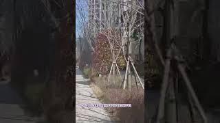 취득세감면요건 생애 최초 주택 구입 시 취득세 감면, 신청 방법과 총족 요건 대해 알아보기