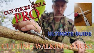 Cut Sticks Like A Pro - Making Walking Sticks - Hazel Shanks