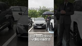 푸조 308 하이브리드 다음주 콘텐츠 예고편