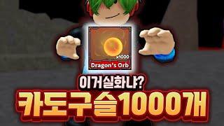 카이도우 구슬 1000개? 실화? 네 실화입니다! 바로 잡으러 가시죠? [로블록스 킹피스 #36]