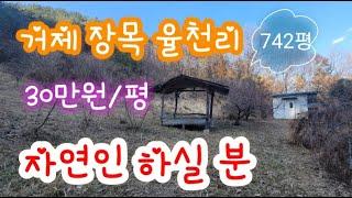 거제도 자연인 땅 매매- 거제 장목 율천리 742평, 평당가 30만 원. 먼 바다 뷰.