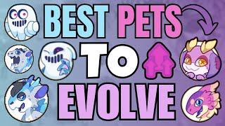 The BEST Pets to Evolve in Prodigy! Part 4 | Prodigy Math Game