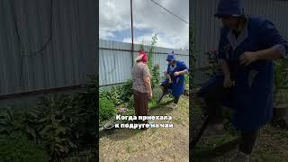 Вот и ходи к ней на чай #деревня #лето #садоводничество #дача #частныедома