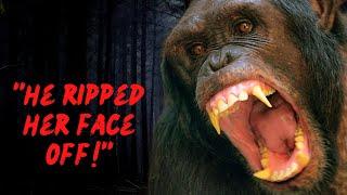 ATTACKED By A 200 Pound CHIMPANZEE | Charla Nash's Horrifying Story