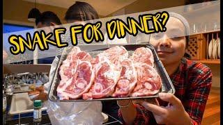 NEW ZEALAND ROAD TRIP TRAVEL VLOG #5: Eating snake for dinner?