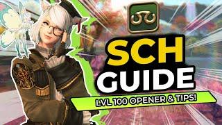 The Scholar Lv100 Dawntrail Guide