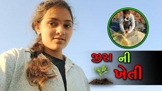 જીરા ની ખેતી || કચરો વીનવો પડ્યો ||nkvlogsgujarat ||#nkvlogsgujarat