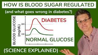 Regulation of Blood Sugar