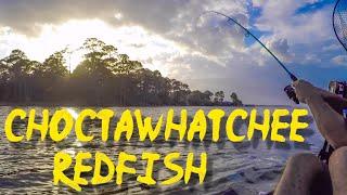 Choctawhatchee Bay Kayak Fishing for Monster Redfish - How to Catch 'em with Livebait