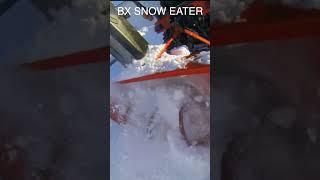 BX the SNOW EATER