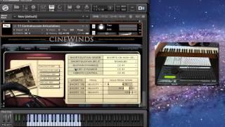 Cinesamples CineWinds PRO Part 1 of 2 - Doublers