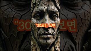 "30초만 보면, 당신도 나무를 다시 보게 될 겁니다" #나무 #감성영상 #1분숏츠 #힐링영상 #자연이야기 #단편스토리