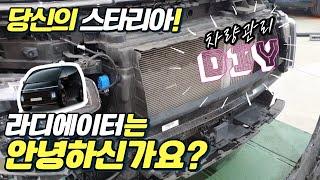 현대 스타리아 라운지 순정 그릴망 튜닝 필수 작업 여러분의 라디에이터는 안녕하신가요? #diy #차량관리