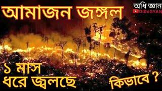 কি কারণে জ্বলছে আমাজন জঙ্গল | Amazon Forest Fire | OdhiGYAN Science