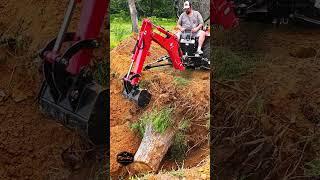 Backhoe Stump Removal Fail