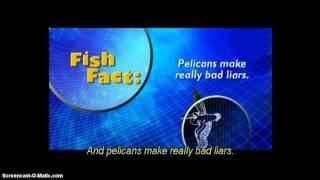 Finding Nemo - Fishy Fact: Nigel