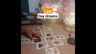 Leo tarot #omkaratarot #leo # #weekendtarotreadings #leolovereading