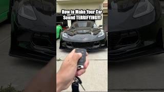 These cold starts are not for the weak  #c7 #automobile #corvette #exhaust