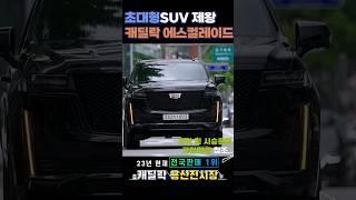 초대형SUV 캐딜락 에스컬레이드 직접 시승해보세요