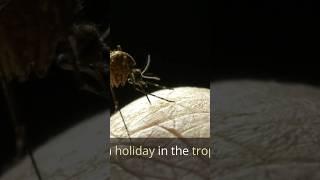 Deadliest Viruses Part 1 #deadlyvirus #disease #epidemic #health #infection #microbiology #virology