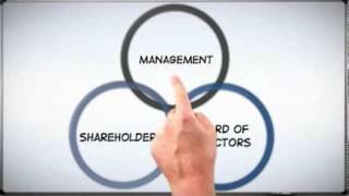 Corp 101: The Basics of Corporate Structure