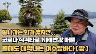 코로나만 아니면 다신 없을 반값 초급매!  여수밤바다가 훤히 보이는 전남 고흥 땅(건축부지)과 주택 놓치지 마세요