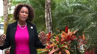 EFE- CARICOM - English Video