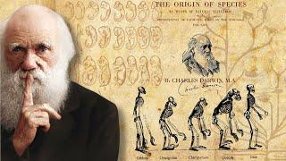 Evolution vs. Creation: Examining the Controversial Debate