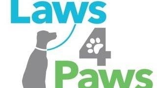 Laws for Paws: How to Protect the Commonwealth's Animals