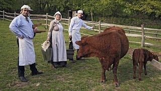 Edwardian Farm 9 (2010)