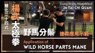 楊式簡化廿四式太極拳-野馬分鬃 連貫應用示範 Yang Style Simplified 24 Tai Chi Quan - Application of Wild Horse parts Mane