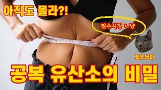 공복유산소? 다이어트 필수시청!!!