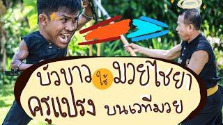 บัวขาวใช้มวยไชยาบนเวทีมวย|Buakaw|Krupraeng