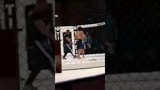 MMA- (WJF2) Luka bochorishvili (GEORGIA)