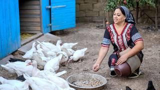 Cooking Duck under Mud Clay in a Brick Oven & Pilaf in Village Life