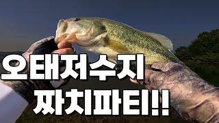 [Bass fishing] I went to Otae Reservoir, which is good to walk