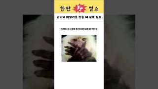 세상은 아직 살만합니다..#쇼츠 #감성 #감동 #썰